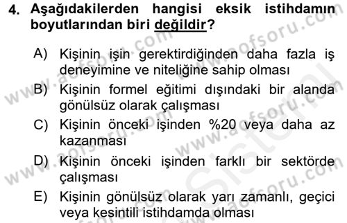 Çalışma Ekonomisi Dersi 2015 - 2016 Yılı (Vize) Ara Sınav Soruları 4. Soru