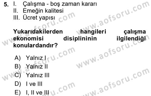 Çalışma Ekonomisi Dersi 2015 - 2016 Yılı (Vize) Ara Sınav Soruları 5. Soru