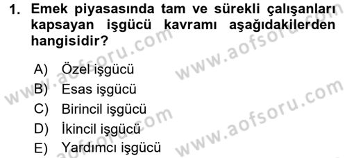 Çalışma Ekonomisi Dersi 2015 - 2016 Yılı (Final) Dönem Sonu Sınav Soruları 1. Soru