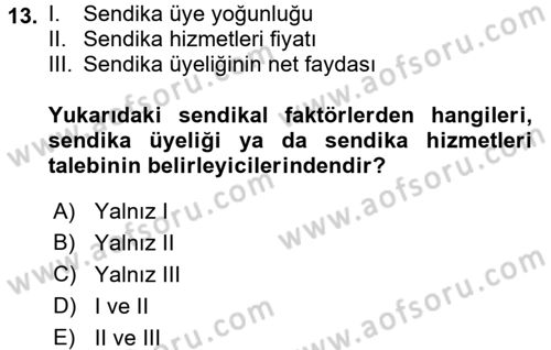 Çalışma Ekonomisi Dersi 2015 - 2016 Yılı (Final) Dönem Sonu Sınav Soruları 13. Soru