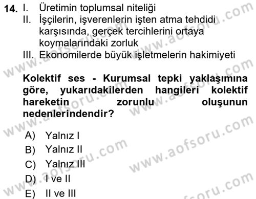 Çalışma Ekonomisi Dersi 2015 - 2016 Yılı (Final) Dönem Sonu Sınav Soruları 14. Soru
