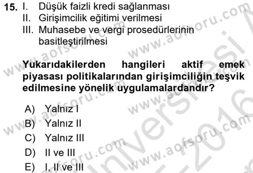 Çalışma Ekonomisi Dersi 2015 - 2016 Yılı (Final) Dönem Sonu Sınav Soruları 15. Soru