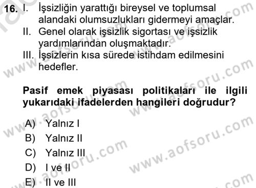 Çalışma Ekonomisi Dersi 2015 - 2016 Yılı (Final) Dönem Sonu Sınav Soruları 16. Soru