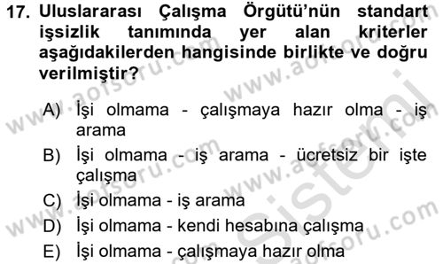 Çalışma Ekonomisi Dersi 2015 - 2016 Yılı (Final) Dönem Sonu Sınav Soruları 17. Soru