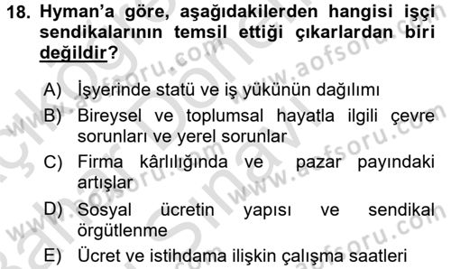 Çalışma Ekonomisi Dersi 2015 - 2016 Yılı (Final) Dönem Sonu Sınav Soruları 18. Soru
