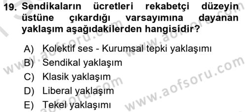 Çalışma Ekonomisi Dersi 2015 - 2016 Yılı (Final) Dönem Sonu Sınav Soruları 19. Soru