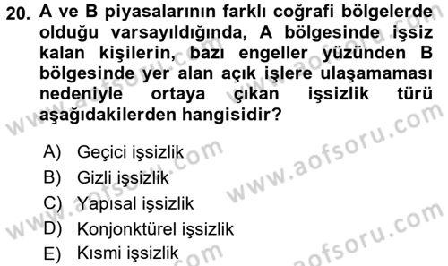 Çalışma Ekonomisi Dersi 2015 - 2016 Yılı (Final) Dönem Sonu Sınav Soruları 20. Soru