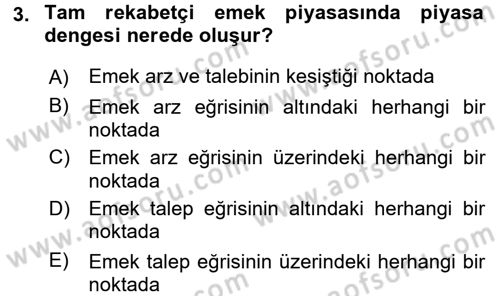Çalışma Ekonomisi Dersi 2015 - 2016 Yılı (Final) Dönem Sonu Sınav Soruları 3. Soru