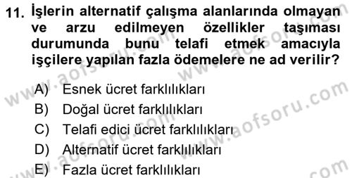 Çalışma Ekonomisi Dersi 2016 - 2017 Yılı 3 Ders Sınav Soruları 11. Soru