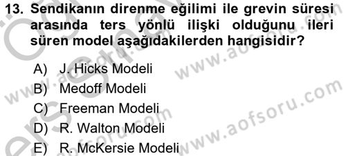 Çalışma Ekonomisi Dersi 2016 - 2017 Yılı 3 Ders Sınav Soruları 13. Soru