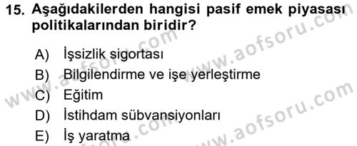 Çalışma Ekonomisi Dersi 2016 - 2017 Yılı 3 Ders Sınav Soruları 15. Soru