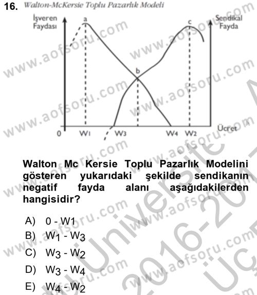 Çalışma Ekonomisi Dersi 2016 - 2017 Yılı 3 Ders Sınav Soruları 16. Soru