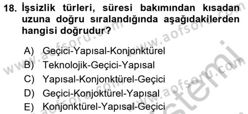 Çalışma Ekonomisi Dersi 2016 - 2017 Yılı 3 Ders Sınav Soruları 18. Soru