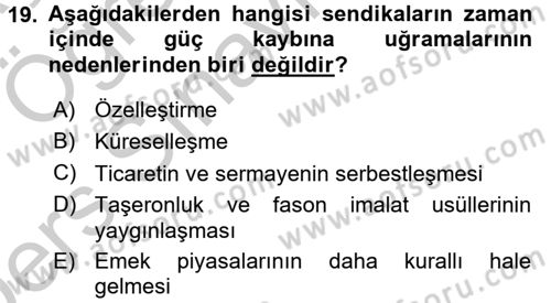 Çalışma Ekonomisi Dersi 2016 - 2017 Yılı 3 Ders Sınav Soruları 19. Soru