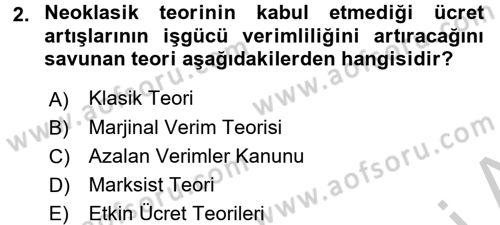 Çalışma Ekonomisi Dersi 2016 - 2017 Yılı 3 Ders Sınav Soruları 2. Soru