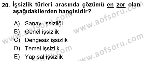 Çalışma Ekonomisi Dersi 2016 - 2017 Yılı 3 Ders Sınav Soruları 20. Soru