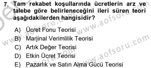 Çalışma Ekonomisi Dersi 2016 - 2017 Yılı 3 Ders Sınav Soruları 7. Soru