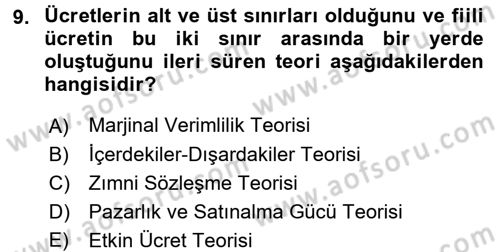 Çalışma Ekonomisi Dersi 2016 - 2017 Yılı 3 Ders Sınav Soruları 9. Soru
