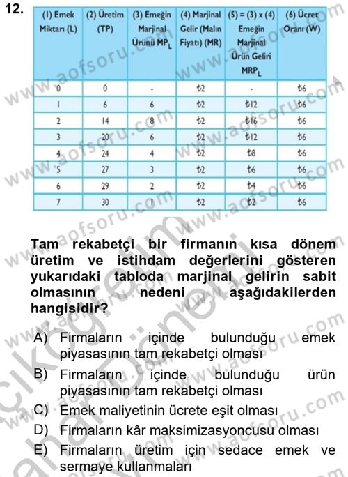 Çalışma Ekonomisi Dersi 2016 - 2017 Yılı (Vize) Ara Sınavı 12. Soru