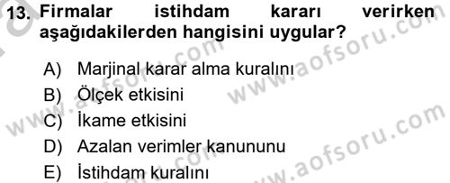 Çalışma Ekonomisi Dersi 2016 - 2017 Yılı (Vize) Ara Sınavı 13. Soru