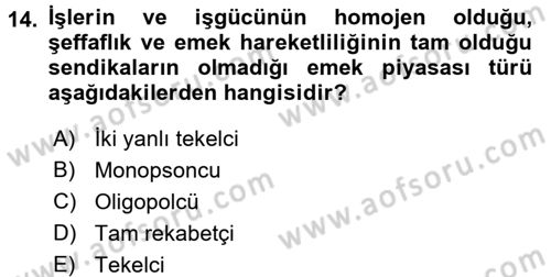 Çalışma Ekonomisi Dersi 2016 - 2017 Yılı (Vize) Ara Sınavı 14. Soru