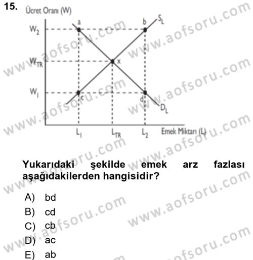 Çalışma Ekonomisi Dersi 2016 - 2017 Yılı (Vize) Ara Sınavı 15. Soru