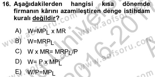 Çalışma Ekonomisi Dersi 2016 - 2017 Yılı (Vize) Ara Sınavı 16. Soru