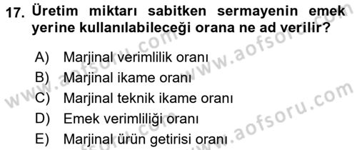 Çalışma Ekonomisi Dersi 2016 - 2017 Yılı (Vize) Ara Sınav Soruları 17. Soru