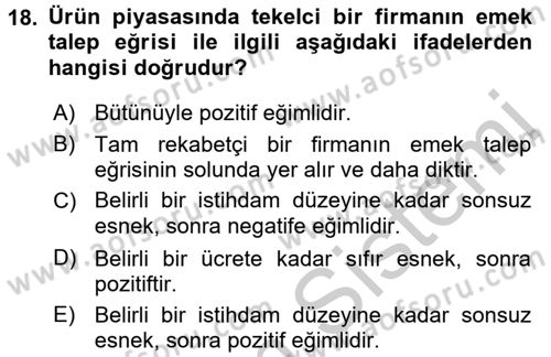Çalışma Ekonomisi Dersi 2016 - 2017 Yılı (Vize) Ara Sınav Soruları 18. Soru