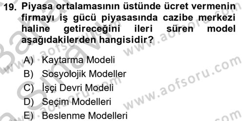 Çalışma Ekonomisi Dersi 2016 - 2017 Yılı (Vize) Ara Sınavı 19. Soru