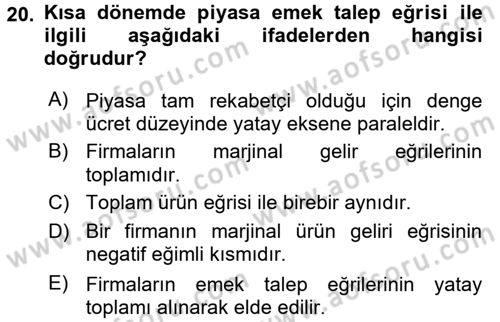 Çalışma Ekonomisi Dersi 2016 - 2017 Yılı (Vize) Ara Sınavı 20. Soru