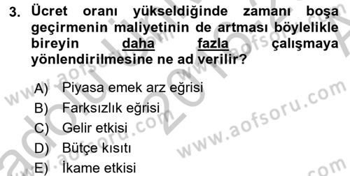 Çalışma Ekonomisi Dersi 2016 - 2017 Yılı (Vize) Ara Sınavı 3. Soru