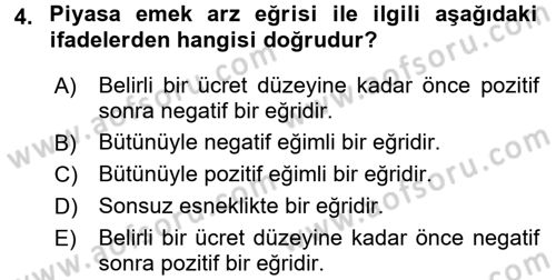 Çalışma Ekonomisi Dersi 2016 - 2017 Yılı (Vize) Ara Sınav Soruları 4. Soru