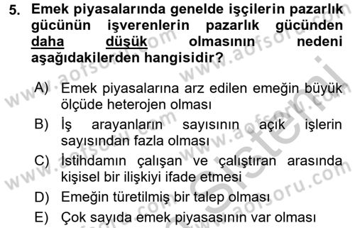Çalışma Ekonomisi Dersi 2016 - 2017 Yılı (Vize) Ara Sınav Soruları 5. Soru