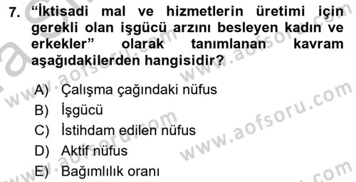 Çalışma Ekonomisi Dersi 2016 - 2017 Yılı (Vize) Ara Sınavı 7. Soru