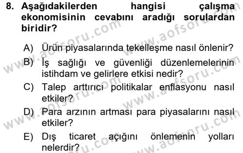 Çalışma Ekonomisi Dersi 2016 - 2017 Yılı (Vize) Ara Sınavı 8. Soru