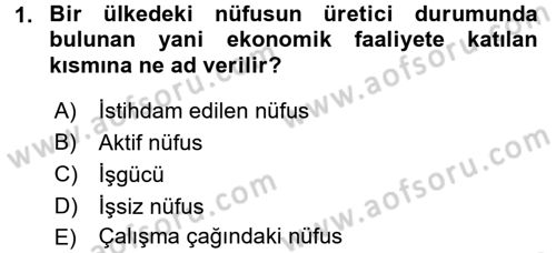 Çalışma Ekonomisi Dersi 2016 - 2017 Yılı (Final) Dönem Sonu Sınav Soruları 1. Soru