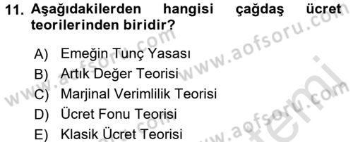 Çalışma Ekonomisi Dersi 2016 - 2017 Yılı (Final) Dönem Sonu Sınav Soruları 11. Soru
