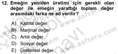 Çalışma Ekonomisi Dersi 2016 - 2017 Yılı (Final) Dönem Sonu Sınav Soruları 12. Soru