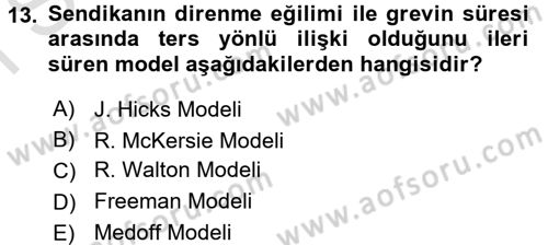 Çalışma Ekonomisi Dersi 2016 - 2017 Yılı (Final) Dönem Sonu Sınav Soruları 13. Soru