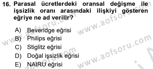 Çalışma Ekonomisi Dersi 2016 - 2017 Yılı (Final) Dönem Sonu Sınav Soruları 16. Soru