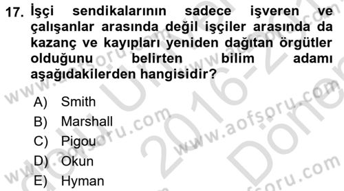 Çalışma Ekonomisi Dersi 2016 - 2017 Yılı (Final) Dönem Sonu Sınav Soruları 17. Soru
