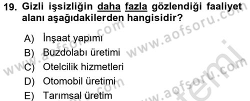 Çalışma Ekonomisi Dersi 2016 - 2017 Yılı (Final) Dönem Sonu Sınav Soruları 19. Soru
