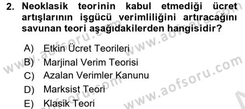 Çalışma Ekonomisi Dersi 2016 - 2017 Yılı (Final) Dönem Sonu Sınav Soruları 2. Soru