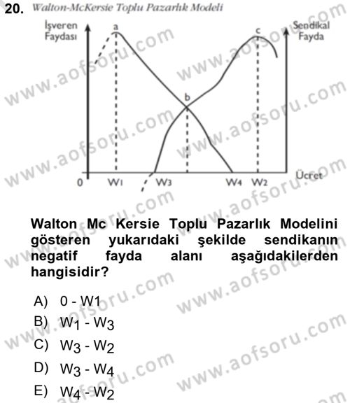 Çalışma Ekonomisi Dersi 2016 - 2017 Yılı (Final) Dönem Sonu Sınav Soruları 20. Soru