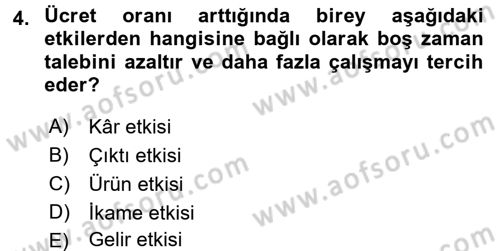 Çalışma Ekonomisi Dersi 2016 - 2017 Yılı (Final) Dönem Sonu Sınav Soruları 4. Soru
