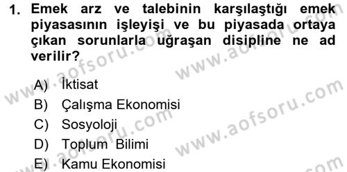 Çalışma Ekonomisi Dersi 2017 - 2018 Yılı 3 Ders Sınav Soruları 1. Soru