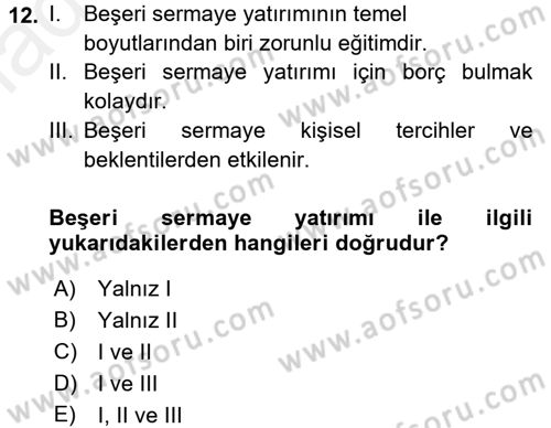 Çalışma Ekonomisi Dersi 2017 - 2018 Yılı 3 Ders Sınav Soruları 12. Soru