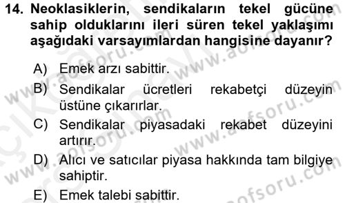 Çalışma Ekonomisi Dersi 2017 - 2018 Yılı 3 Ders Sınav Soruları 14. Soru