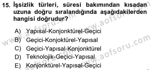Çalışma Ekonomisi Dersi 2017 - 2018 Yılı 3 Ders Sınav Soruları 15. Soru